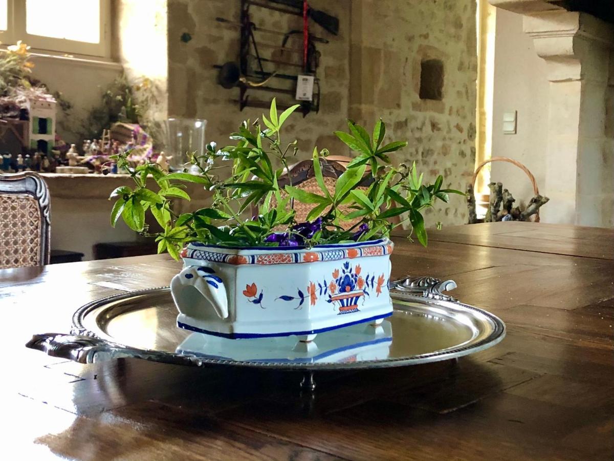 Logis De La Touche Bed and Breakfast Saint-Hilaire-des-Loges Εξωτερικό φωτογραφία
