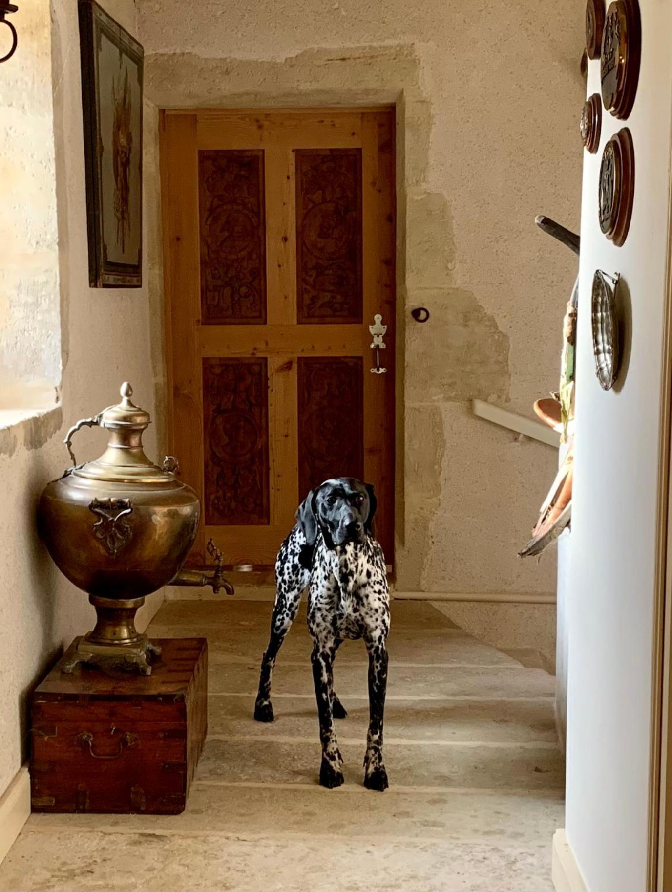 Logis De La Touche Bed and Breakfast Saint-Hilaire-des-Loges Εξωτερικό φωτογραφία